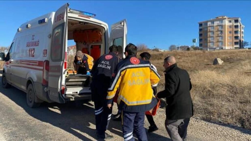 ankarada basibos sokak kopekleri cocuga saldirdi LzeNusOv