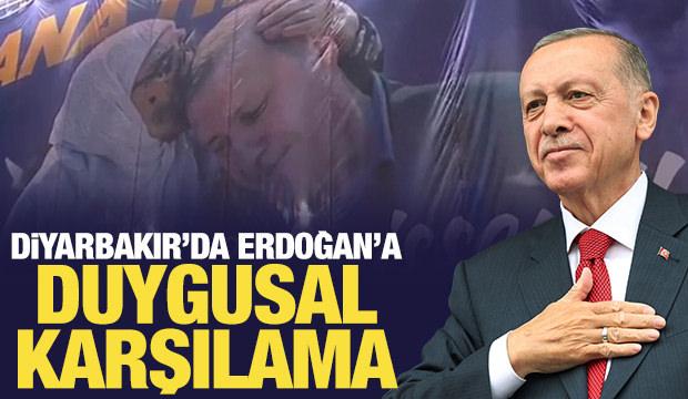 son dakika cumhurbaskani erdogan diyarbakirda aciklamalarda bulunuyor 0 d76fOAdp