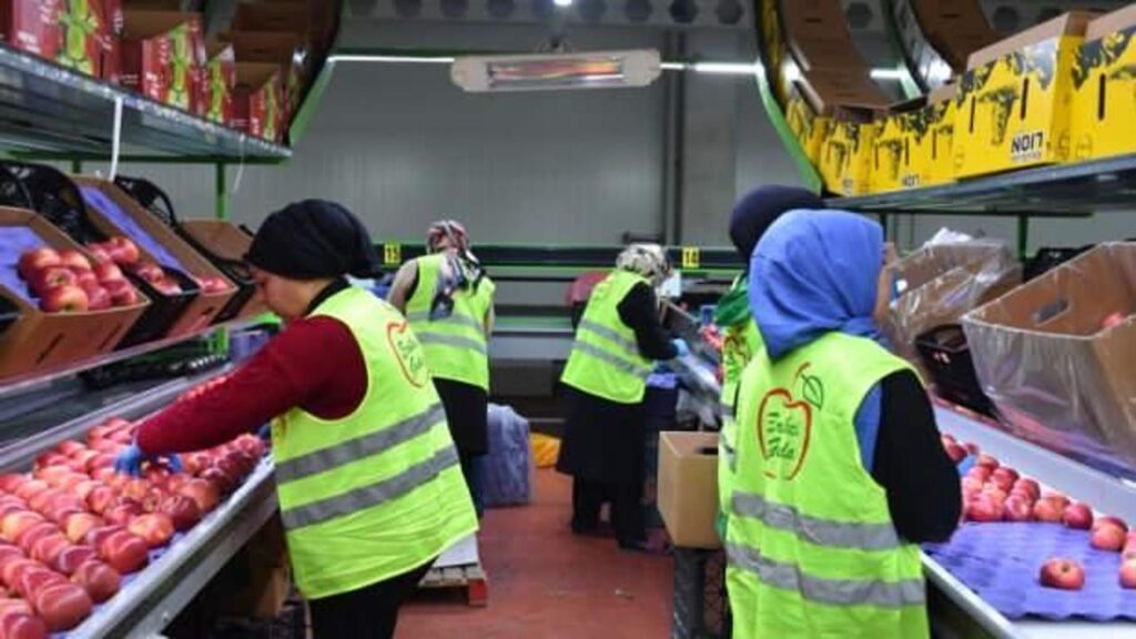 devlet destegiyle kurdugu tesisle 21 ulkeye ihracat yapiyor uCq1V8ce